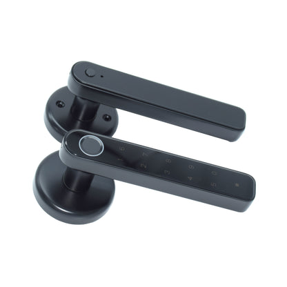 Indoor Smart Security Door