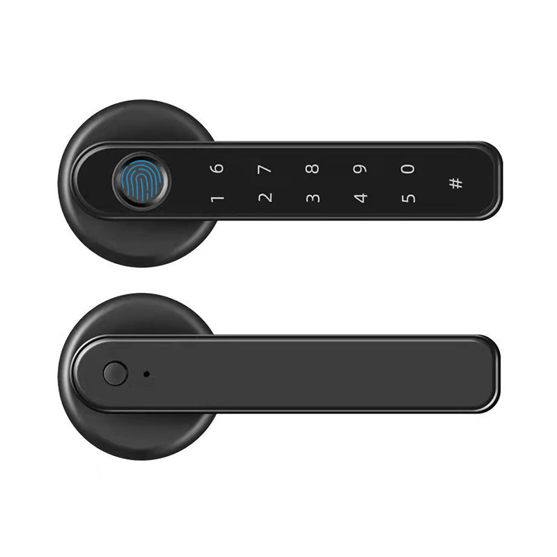 Indoor Smart Security Door