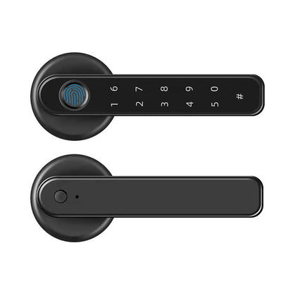 Indoor Smart Security Door
