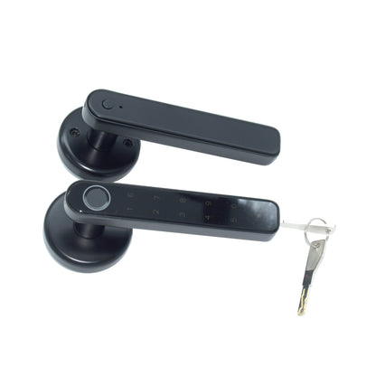Indoor Smart Security Door