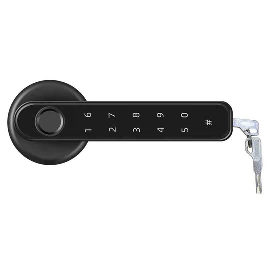 Indoor Smart Security Door