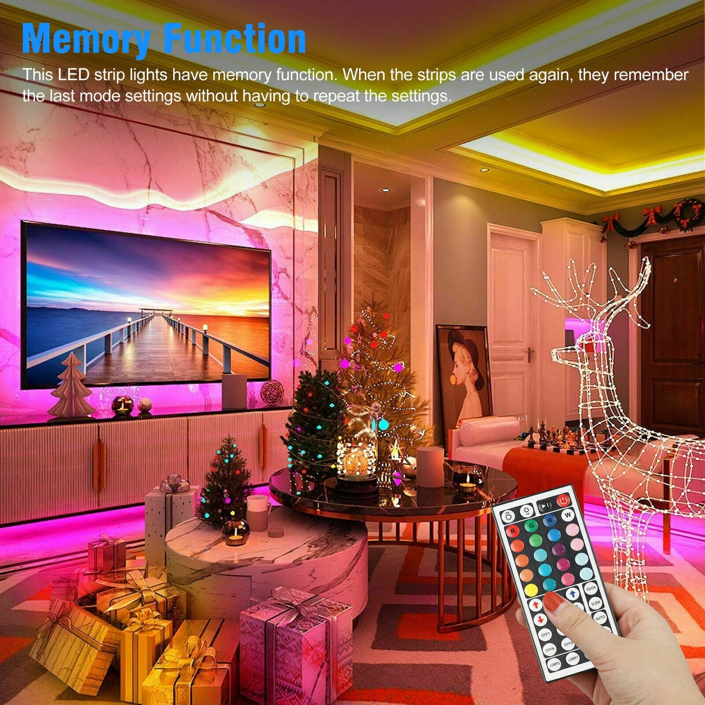 RGB LED Strip Light