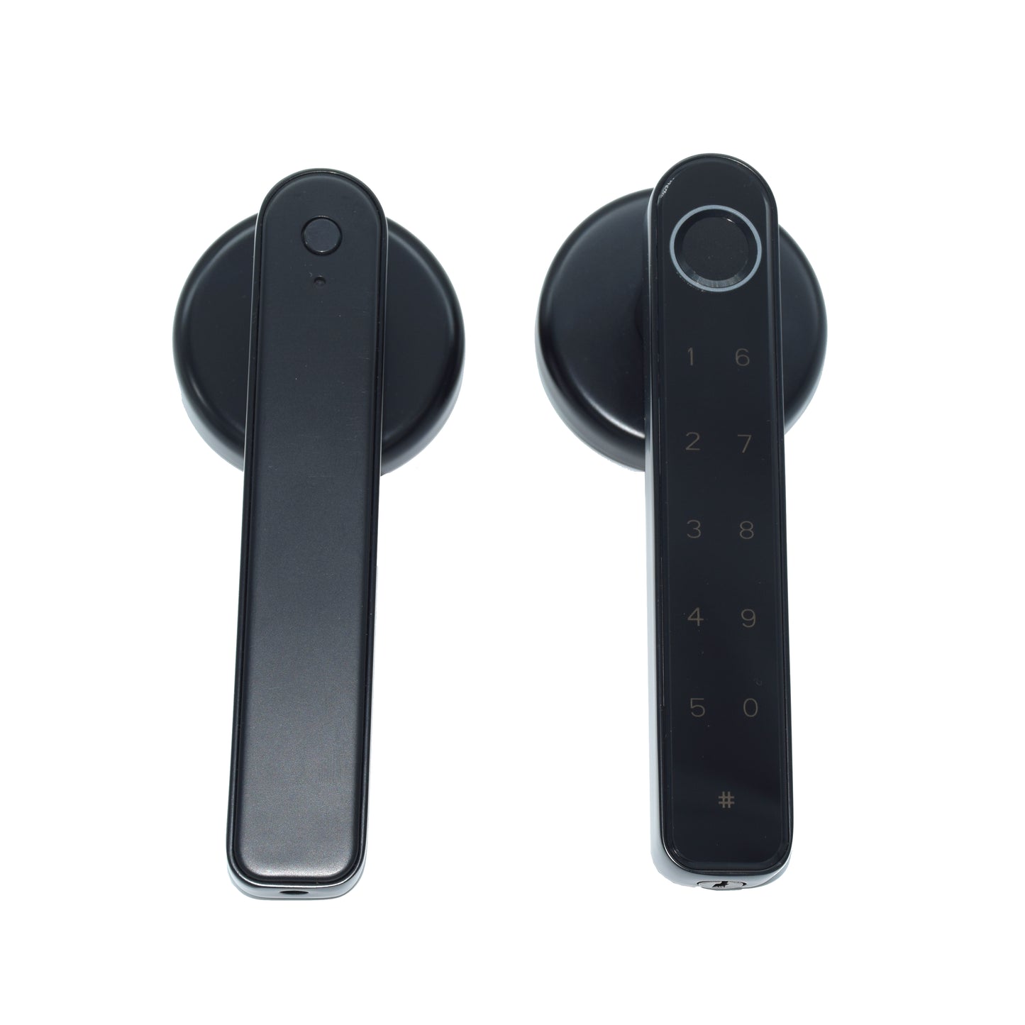 Indoor Smart Security Door