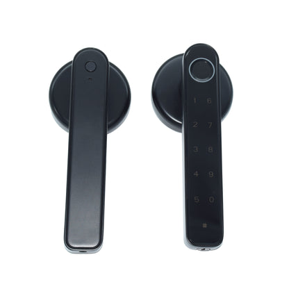 Indoor Smart Security Door