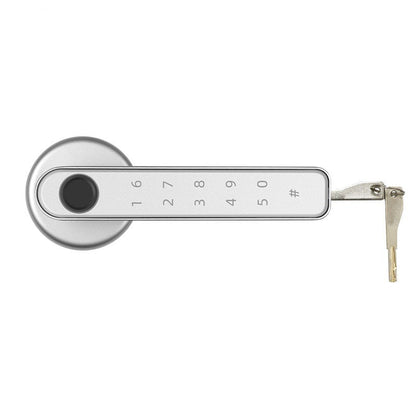 Indoor Smart Security Door